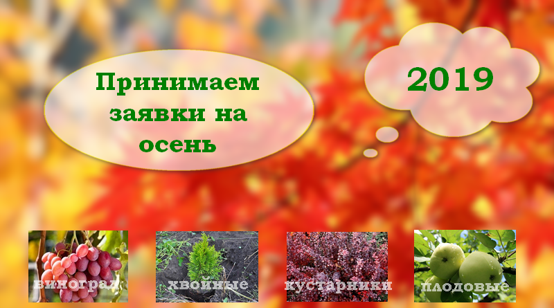 Питомник растений в Подгорье (Могилевский район) принимает заявки на осень 2019